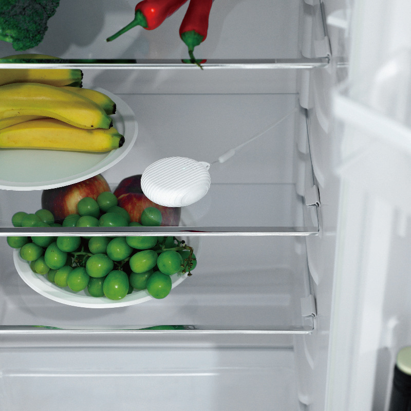 Spot New Cross-Border E-Commerce Household Air Purifier Refrigerator Deodorizer Shoe Cabinet Car Ozone Deodorizer