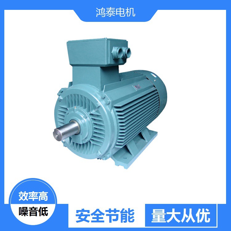 鸿泰变频调速电机YVF2-315M-10 55KW 380V 绝缘F级 性能好 振动小
