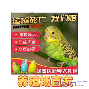 �v��Ƥ�W�^���B��С�͕��fԒ�Č����B�������B���P���BС�B���w�}