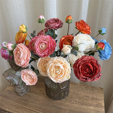 3�^��ɽѩɏ ���滨�b��������[�O�͏d�ٻ��軨������¶ɏõ��