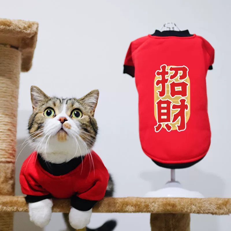 Кошки Новогодняя Праздничная Одежда Собака Новогодняя Одежда Тедди Горький Медведь Красивый Кот Свитер Британская Короткая Красивая Короткая Зимняя Одежда Котенка