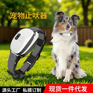 ���R�d2026�¿�ֹ�����Ԅ��ط�������Ӗ��������Ʒ���ֹ���Ȧ