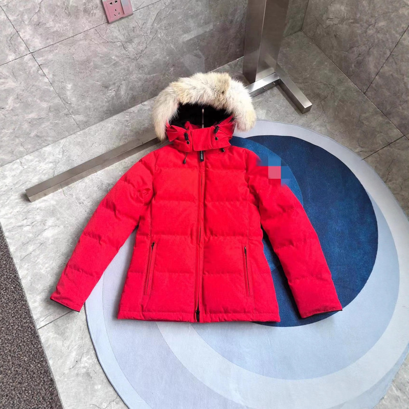 04 Big Goose Ladies Down Jacket Hot Selling Coat|undefined