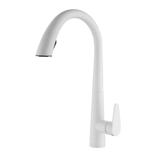 Xiaohongshu Kitchen Swan Neck Pull-out Hot and Cold Water Faucet for Washing Dishes and Vegetables, Made of 304 Stainless Steel