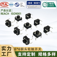 p|_P6*6*4.3ϵ_oNƬ ΢С͸ߜضN߶Ȱo_