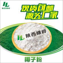Ҭ�ӷ� ����Ҭ��֭�� �S�ҹ��� ��Ϻ決���� 1KG��ӆ �F؛�r���]