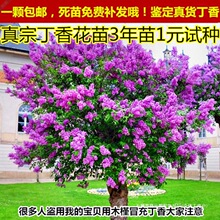 㻨 ļ_ ͥԺ ֲ G  㻨纣Ę