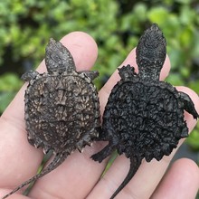 ����С�����ӷ����������С�ڹ����������������������÷����