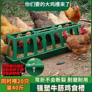 [Manufacturer Wholesale] Square Feeding Trough for Chickens, Rectangular Feeding Trough for Chickens, Non-Turning Feeding Trough for Chickens and Ducks