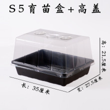 S5Pʯʳxʮֲ~M琞BӸw