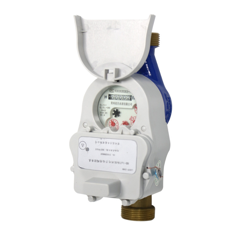 Lxsy-Nbmyf Type Valve-Controlled Internet of Things Water Meter Property Community Remote Meter Copy High-Precision Rental Property