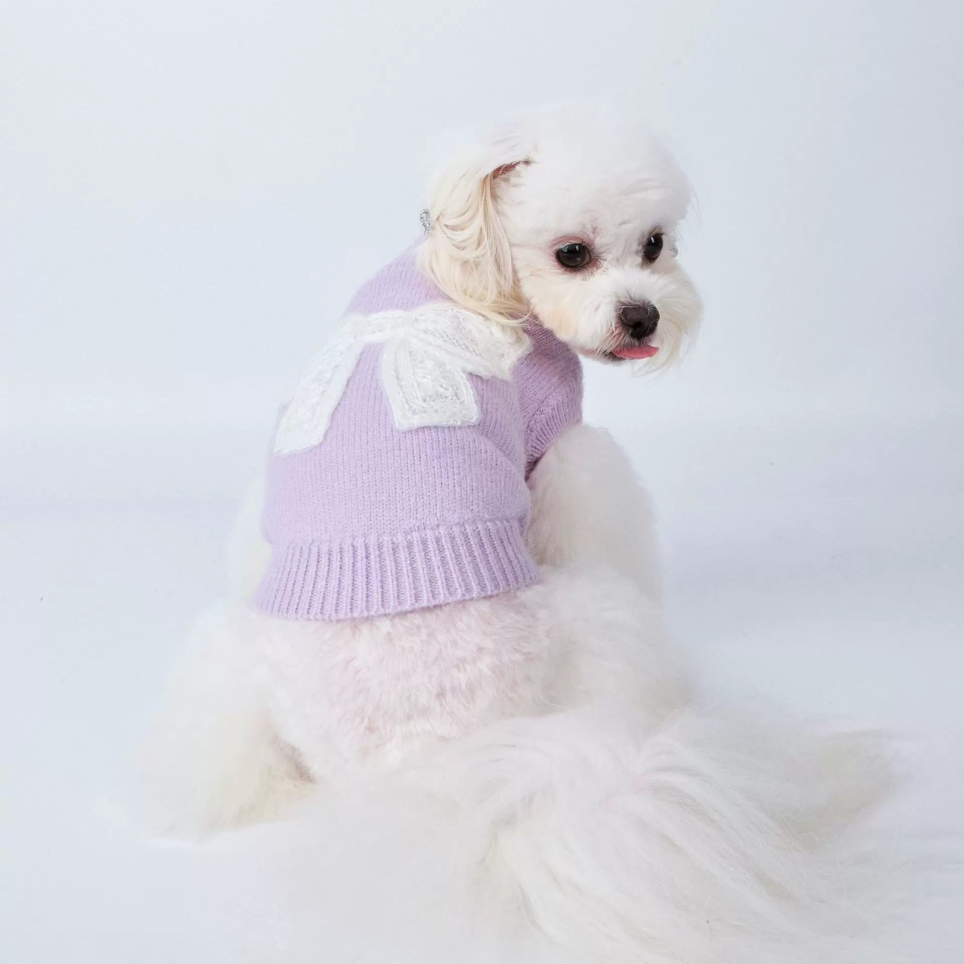 宠物服饰日韩风现货高端小型犬宠物服装工厂现货批发宠物衣服防掉