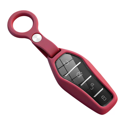 Car key bag: Cover Qin Plus D Song