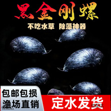 �ڽ������^�p���O���ݲʵ������S����R���[�坍���幤������