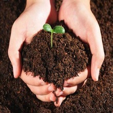 营养土泥土花泥种植土花土家用养花通用型种菜种花育苗土壤水晶泥