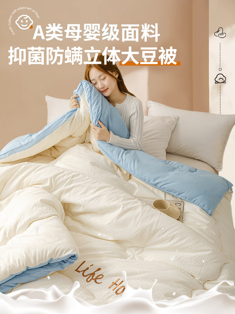 슈퍼 소프트 자수 와플 양면 콩 퀼트 - 스카이 블루