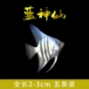 3cm Blue Magic Fairy 5 pack
