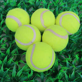 宠物网球  二级微弹力狗狗球  泰迪金毛抛掷训犬玩具球 宠物用品
