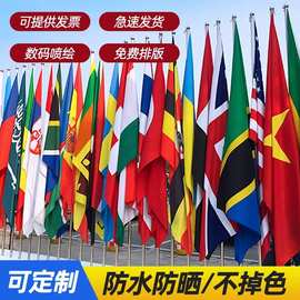 OEM外贸跨境旗帜定做双面印刷不褪色世界各国国旗1-8号旗子彩旗