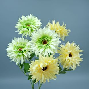 3�^ըë�շ��滨�ջ��ٻ���Y�������û��ļҾ��bzӰ�������l