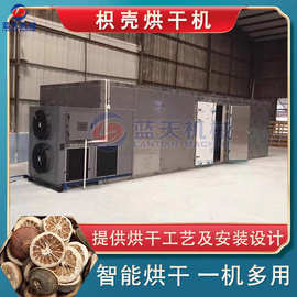 枳壳中药果烘干机 桔子幼果切瓣烘干设备 柑橘落地果枳实烤房商用