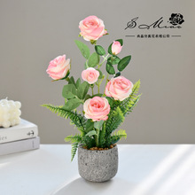 �ٻ���ͷ��ʯõС�辰���滨����ֱ��һ�������������컨��������