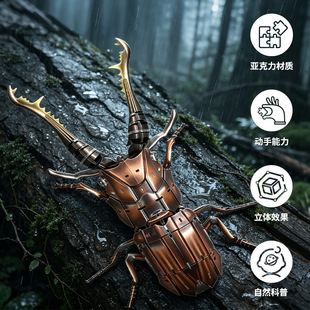 �羳��������߶Y�����w���xƴ�Ddiyģ�ͷeľƴ�儓��[����Ȥƴ