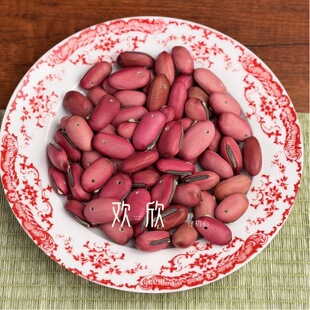 ��׼t���п׼t�����tƤ�����п״󵶶��ѽ���׹��������֓u���