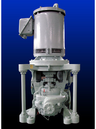 九州工业品日本ISHII Pumps立式二级螺旋泵2CMA