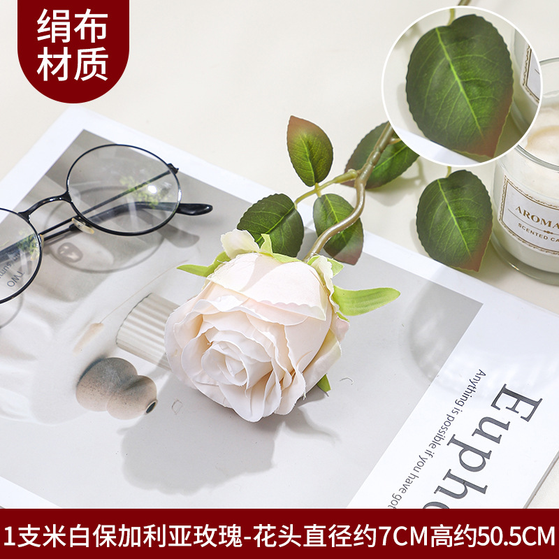 단일 헤드 불가리아 1 가지 - 흰색