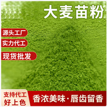 大麦苗粉大麦若叶青汁粉厂家现货供应溶解度好脱水蔬菜粉青团粉