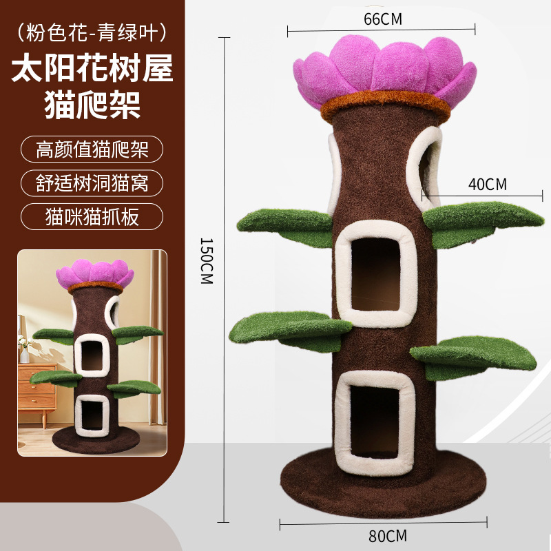 [큰 고양이 나무] 핑크색 꽃 위로 + 청록색 잎