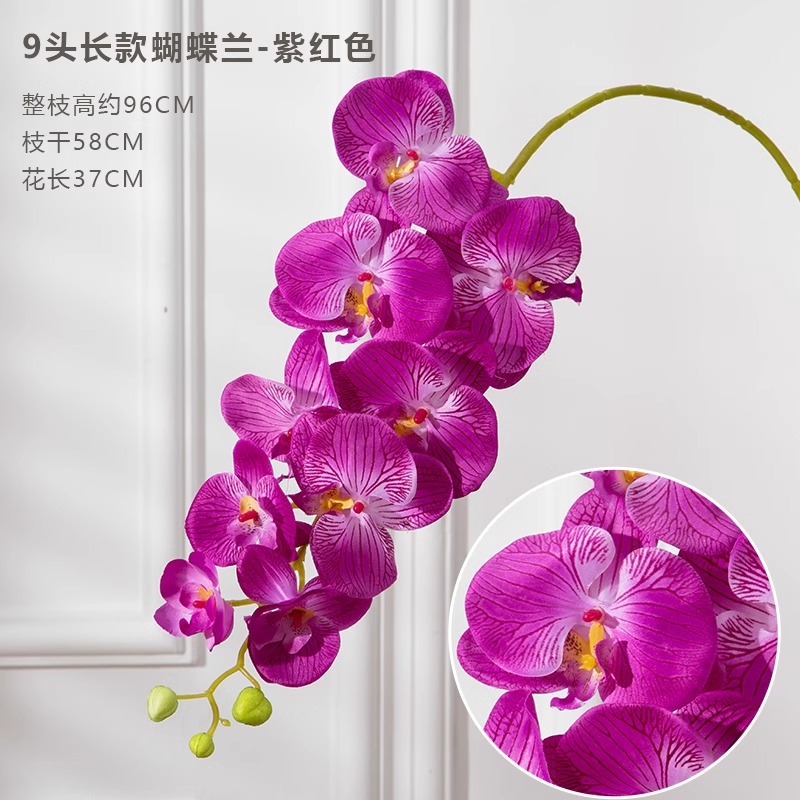 9 포크 phalaenopsis purplish red