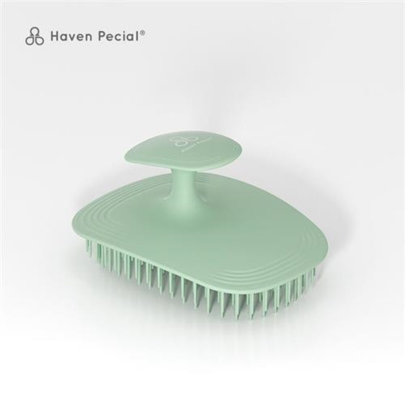 Massager, shampoo for scalp, brush