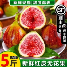 ��S���]������r�Fժ�o�����tƤ�����t�r���ЋD��ͯˮ��������l