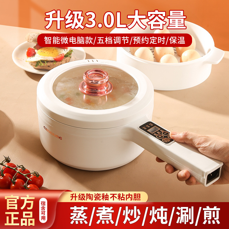 Multifunctional Electric Cooking Pot, Dormitory Student Pot, Non-Stick Pot, Household Small Electric Pot, Noodle Cooking Pot, Small Electric Hot Pot