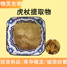 虎杖提取物粉10:1 水溶性虎杖大黄素白藜芦醇 低含量提取 虎杖粉