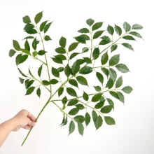 ����Gֲƽ���Ҹ��~�ָм٘��~ɣ���~��֧�����~�҃��쾰�b٘�