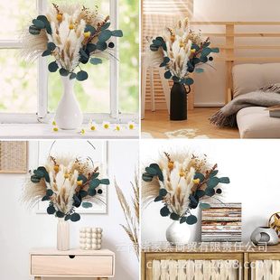 Natural small reed, real flower, Eternal Flower, rabbit tail grass, simple home stay decoration, cross-border bouquet, soft outfit wholesale