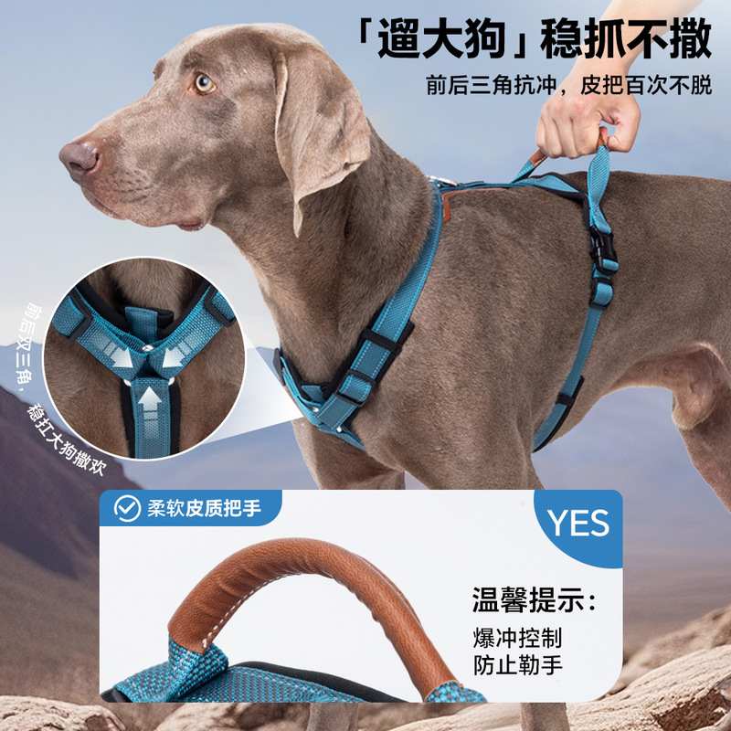 跨境宠物防挣脱胸背带反光大狗胸背中大型犬金毛德牧防爆冲牵引绳|undefined