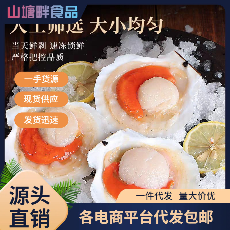 夏夷贝大扇贝冷冻半壳扇贝烤蒜蓉粉丝扇贝新鲜特大商用半成品
