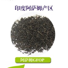 印度阿萨姆OP条茶欧标红茶批发 进口红茶条形茶叶红茶原料散装