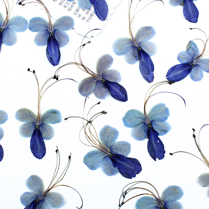 h2uTiviiztSHn2aJjQ1YWs2K5qfucIGu66Sq