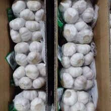 ������ھ�Ʒ�ӹ�Ʒ�|�����l����Դ�^�S����샦��؛������