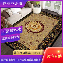 跨境批发欧式风轻奢古典沙发茶几地毯大面积耐脏防滑仿羊绒地毯