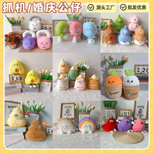 ����8��ץ�C����ë�q��߻�c��Ȧ������ż�������л�ӶYƷ