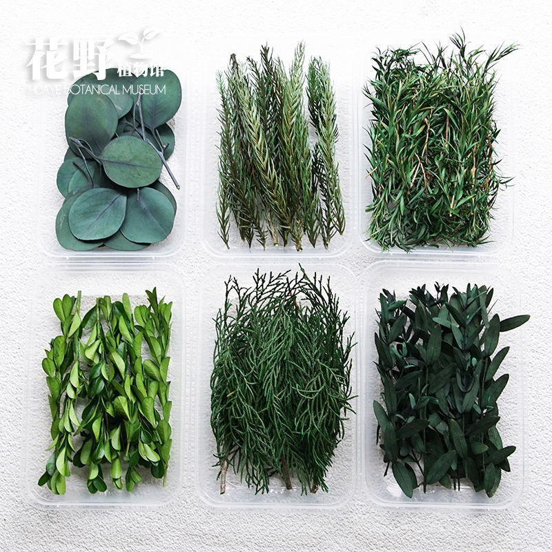 Melaleic Golden Lover Grass Dry Flowers with Herb Aromatherapy Candle Christmas Garment DIY Material Handmade Hand Ceremony Decorative Leaves