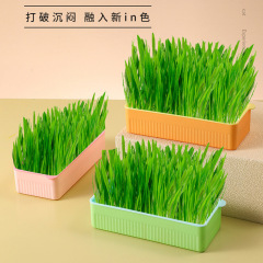 New Pet Cat Grass Planting Box Soilless Cultivation Cat Grass Set Cat Snack Hydroponic Grass Growing Pet Supplies