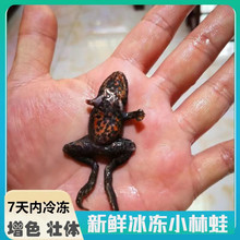 �����~ʳ���~��ɫ����������q���������r�����~�Ꭷ�~��ɫЧ��