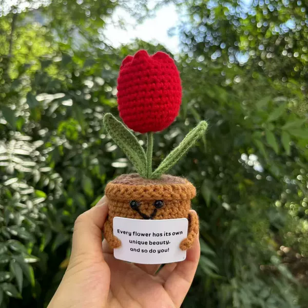 Big Red Tulip Potted Dark Pot